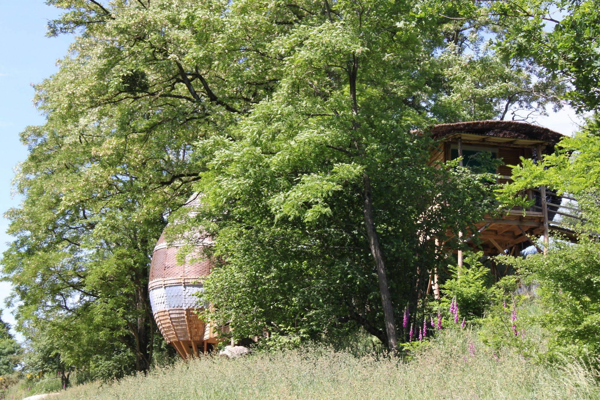 Terragora Lodges - Hebergement Atypique Les Épesses Exterior foto